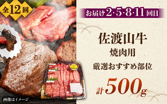 【全12回定期便】沖縄ブランド牛を堪能！贅沢お肉定期便【沖縄市】牛肉 和牛 サーロインステーキ 焼肉 赤身 沖縄市 / 肉のサブロー / お肉屋本店 [BCZZ029]