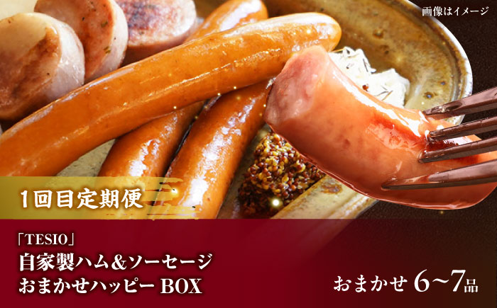 【全3回定期便】沖縄の絶品肉加工品セット【沖縄市】豚肉 ハム ソーセージ 豚まん ぶたまん ちまき 焼売 シュウマイ ハンバーグ 沖縄市 / TESIO / 豚々茶舗 / お肉屋本店 [BCZZ030]