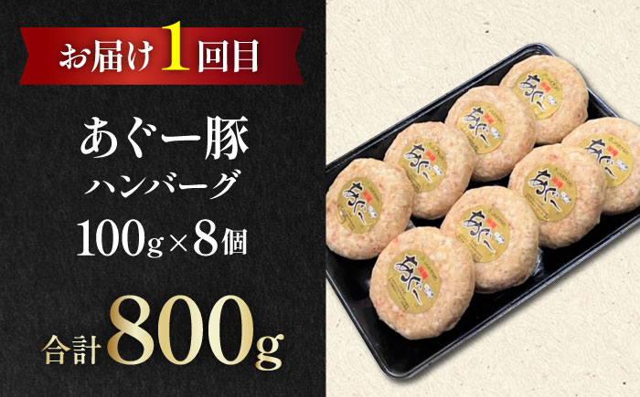【全3回定期便】家族で満喫！沖縄のお肉贅沢セット【沖縄市】ハンバーグ あぐー 石垣牛 ステーキ 焼肉 冷凍 ギフト お取り寄せ 沖縄市 / お肉屋本店 / 肉のサブロー [BCZZ033]