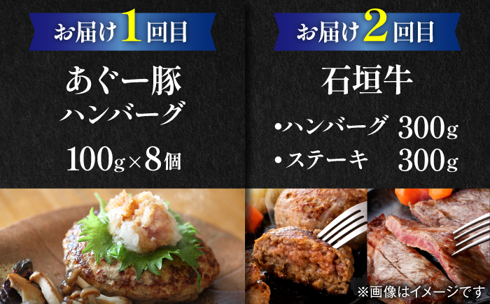 【全6回定期便】家族で満喫！沖縄のお肉贅沢セット【沖縄市】ハンバーグ あぐー 石垣牛 ステーキ 焼肉 冷凍 ギフト お取り寄せ 沖縄市 / お肉屋本店 / 豚々茶舗 / TESIO / 肉のサブロー [BCZZ034]