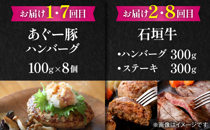 【全12回定期便】家族で満喫！沖縄のお肉贅沢セット【沖縄市】ハンバーグ あぐー 石垣牛 ステーキ 焼肉 冷凍 ギフト お取り寄せ 沖縄市 / お肉屋本店 / 豚々茶舗 / TESIO / 肉のサブロー [BCZZ035]