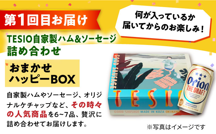 【全3回定期便】オリオンビール晩酌セット【沖縄市】ビール 酒 おつまみ / TESIO / だるまそば / お肉屋本店 / リカーショップ コザ [BCZZ036]