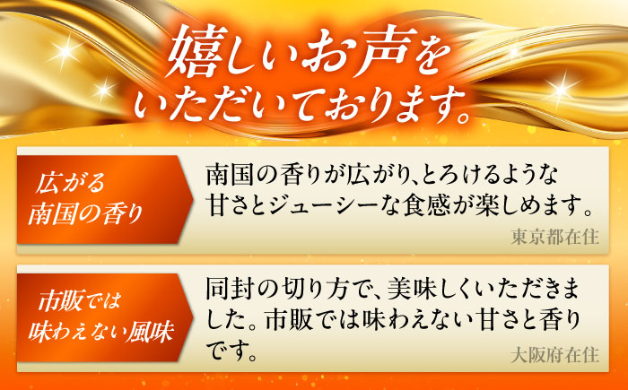 【全2回】太陽の恵み マンゴーご褒美便 (総計4kg) マンゴー 2026 沖縄 果物 フルーツ ギフト 沖縄市 / 仲村農園 [BCZZ053]