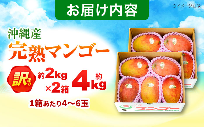 【先行予約 2026年発送 予約受付】 訳あり 完熟マンゴー 約4kg (約2kg×2箱) マンゴー 沖縄 果物 フルーツ ギフト 沖縄市 / ちゃんぷる～市場 [BCAA007]