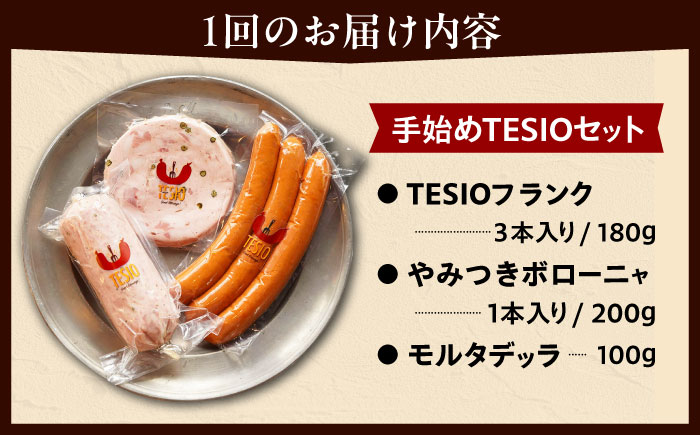 【全12回定期便】TESIOの自家製ハム＆ソーセージ 『手始めTESIOセット』 豚肉 ハム ソーセージ 小分け 真空パック 沖縄市 / TESIO [BCAD009]