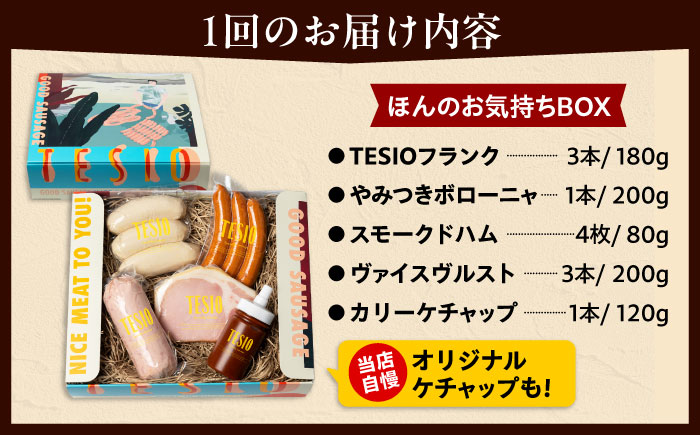 【全12回定期便】TESIOの自家製ハム＆ソーセージ 『ほんのお気持ちBOX』 豚肉 ハム ソーセージ 小分け 真空パック 沖縄市 / TESIO [BCAD012]