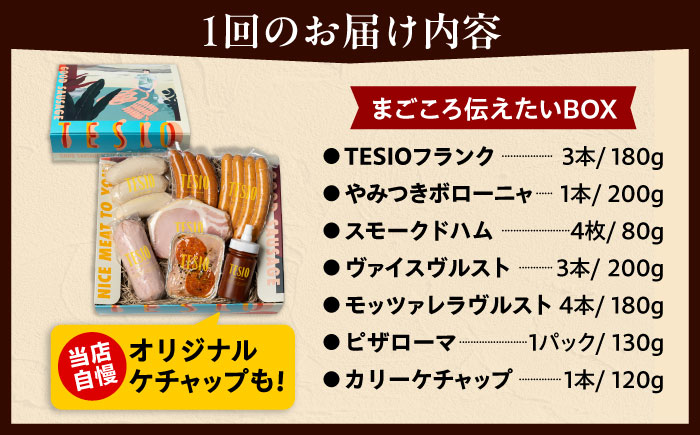 【全3回定期便】TESIOの自家製ハム＆ソーセージ 『まごころ伝えたいBOX』 豚肉 ハム ソーセージ 小分け 真空パック 沖縄市 / TESIO [BCAD013]
