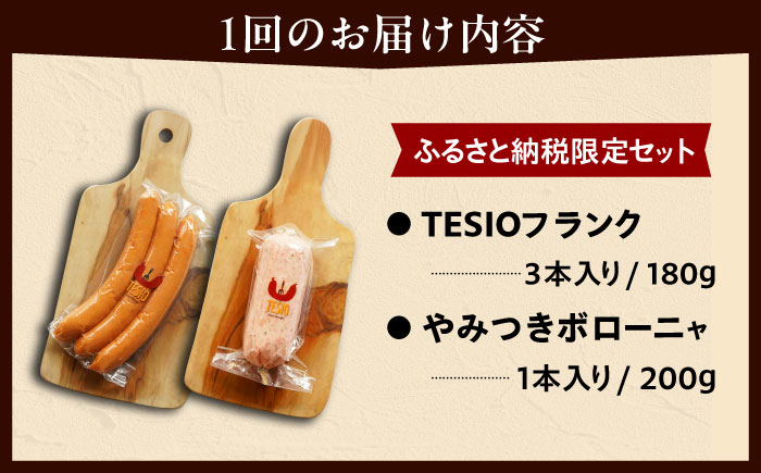 【全3回定期便】【ふるさと納税限定】TESIOの自家製フランク＆ボローニャセット (計380g) 豚肉 ハム ソーセージ 小分け 真空パック 沖縄市 / TESIO [BCAD016]