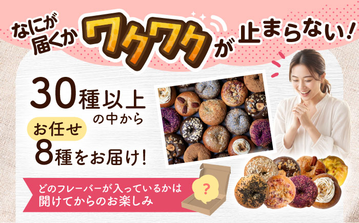 厳選おすすめ ベーグル 8個セット ベーグル詰め合わせ お取り寄せ 冷凍 パン セット 沖縄市 / ZEBRA.Bagel [BCAE002]