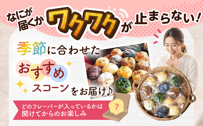 厳選おすすめ スコーン 12個セット 焼き菓子 焼菓子 お菓子 冷凍 個包装 沖縄市 / ZEBRA.Bagel [BCAE003]