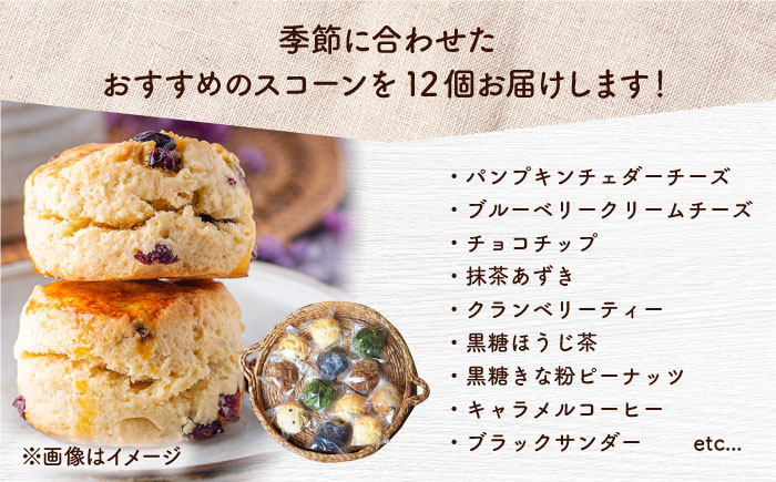 【全3回定期便】厳選おすすめ スコーン 12個セット 焼き菓子 焼菓子 お菓子 冷凍 個包装 沖縄市 / ZEBRA.Bagel [BCAE011]