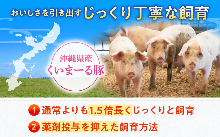 沖縄県産豚肉 豚バラブロック 約1.8kg (900g×2P) 豚肉 豚バラ バラ肉 ブロック ブロック肉 小分け 冷凍 国産 沖縄市 / 宮城ふぁーむ [BCAJ007]