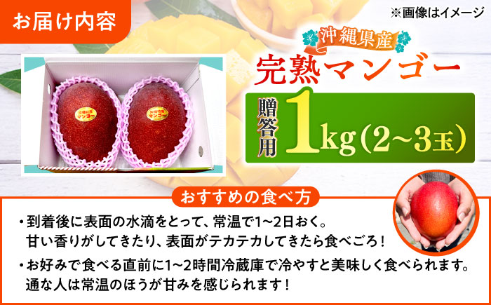 【優秀賞受賞】沖縄県産 完熟マンゴー 贈答用 1kg (2～3玉) マンゴー 沖縄 果物 フルーツ ギフト 沖縄市 / MAIFARM [BCAN001]