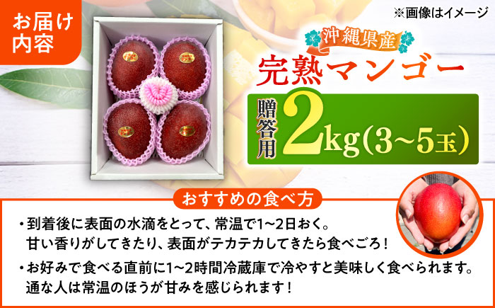 【優秀賞受賞】沖縄県産 完熟マンゴー 贈答用 2kg (3～5玉) マンゴー 沖縄 果物 フルーツ ギフト 沖縄市 / MAIFARM [BCAN002]