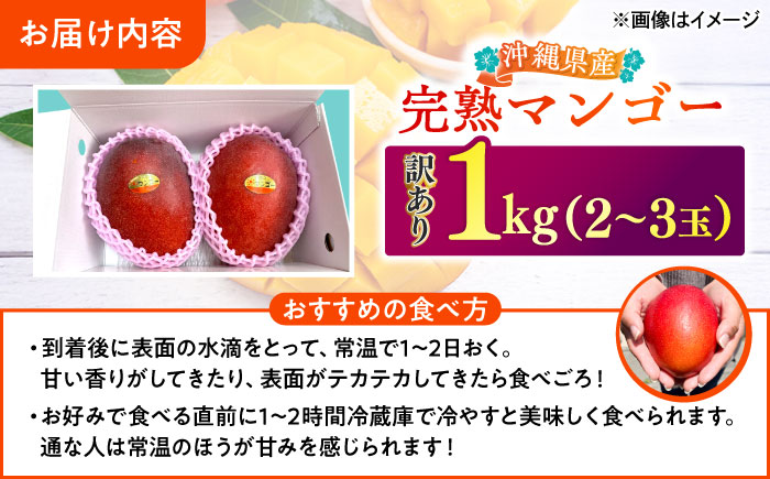 【優秀賞受賞】沖縄県産 完熟マンゴー 訳アリ 1kg (2～3玉) マンゴー 沖縄 果物 フルーツ ギフト 沖縄市 / MAIFARM [BCAN003]