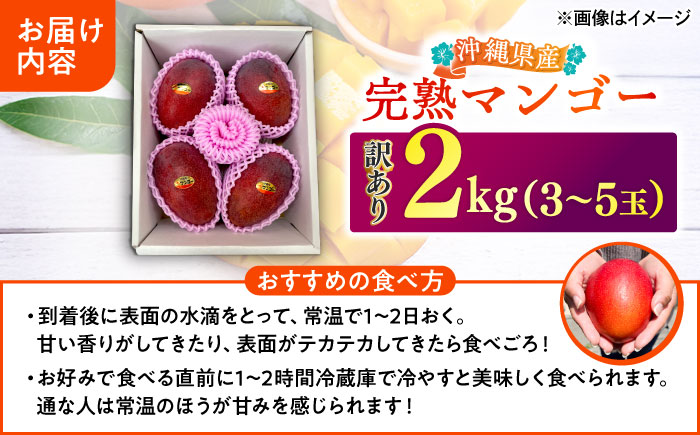 【優秀賞受賞】沖縄県産 完熟マンゴー 訳アリ 2kg (3～5玉) マンゴー 沖縄 果物 フルーツ ギフト 沖縄市 / MAIFARM [BCAN004]