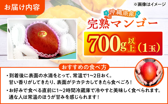 【最優秀賞受賞】沖縄県産 完熟マンゴー 大玉 1個入り マンゴー 沖縄 果物 フルーツ ギフト 沖縄市 / MAIFARM [BCAN005]