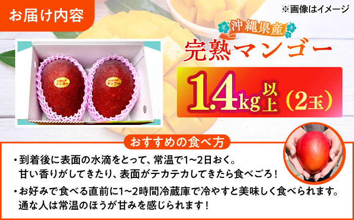 【最優秀賞受賞】沖縄県産 完熟マンゴー 大玉 2個入り マンゴー 沖縄 果物 フルーツ ギフト 沖縄市 / MAIFARM [BCAN006]