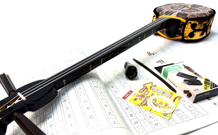 池武当新垣三線店 人工皮三線初心者セット 三線 さんしん 初心者
