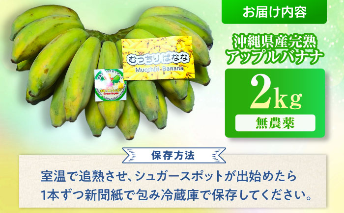ムッチリ食感！沖縄県産アップルバナナ 2kg バナナ フルーツ 果物 無農薬 banana 沖縄市 / タカエス フルーツ＆ベジタブル [BCBH001]