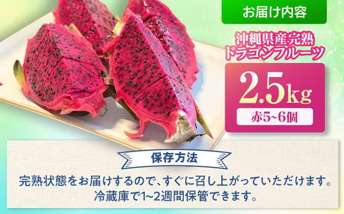 【2026年発送 先行受付】農家直送！南国の果物 ドラゴンフルーツ 2.5kg 火龍果 果物 フルーツ デザート お取り寄せ 沖縄市 / タカエス フルーツ＆ベジタブル [BCBH002]