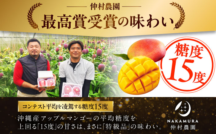 【先行予約 2026年発送 予約受付】【贈答用】仲村農園の完熟アップルマンゴー2kg マンゴー 沖縄 果物 フルーツ ギフト 沖縄市 / 仲村農園 [BCCU001]