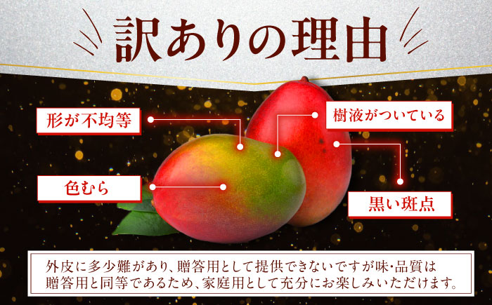 【先行予約 2026年発送 予約受付】【訳あり】仲村農園の完熟アップルマンゴー 1kg マンゴー 沖縄 果物 フルーツ ギフト 沖縄市 / 仲村農園 [BCCU004]