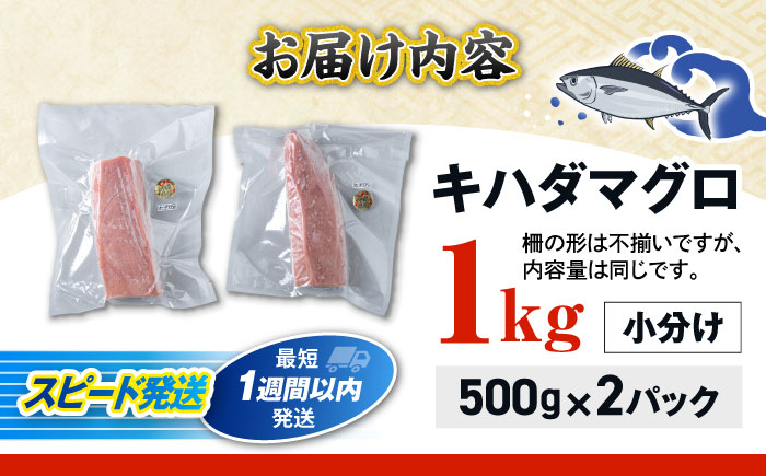 冷凍キハダマグロ 1kg (500g×2パック) マグロ まぐろ 小分け 冷凍 刺身 赤身 沖縄市 / 沖縄市漁業協同組合 パヤオ直売店 [BCDZ001]