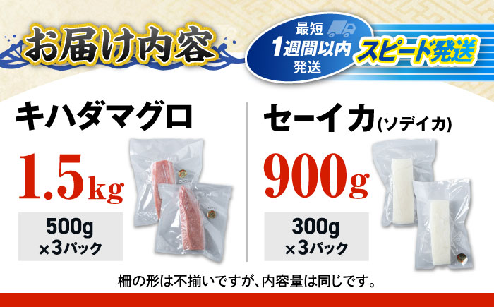 海の幸セット (冷凍キハダマグロ1.5kg / セーイカ0.9kg) 沖縄市 / 沖縄市漁業協同組合 パヤオ直売店 [BCDZ005]