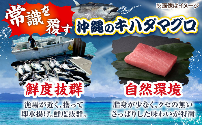 冷凍キハダマグロ 1.2kg (300g×4パック) マグロ まぐろ 小分け 冷凍 刺身 赤身 沖縄市 / 沖縄市漁業協同組合 パヤオ直売店 [BCDZ007]