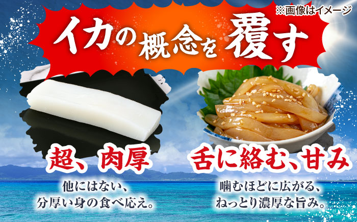 冷凍セーイカ (そでいか) 1.2kg (300g ×4パック) 沖縄市 / 沖縄市漁業協同組合 パヤオ直売店 [BCDZ009]