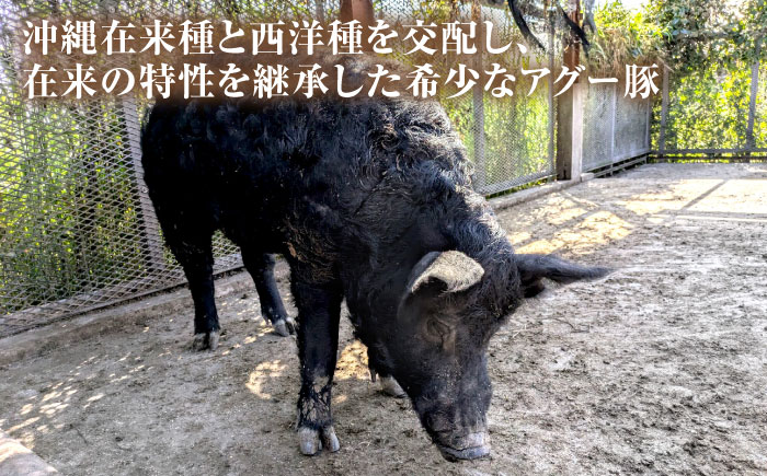 おにくの碧龍の「アグー豚 ぷりぷり豚足 2kg (1kg×2袋)」 豚肉 てびち お取り寄せ 冷凍 国産 沖縄県産  沖縄市 / おにくの碧龍 [BCEO010]