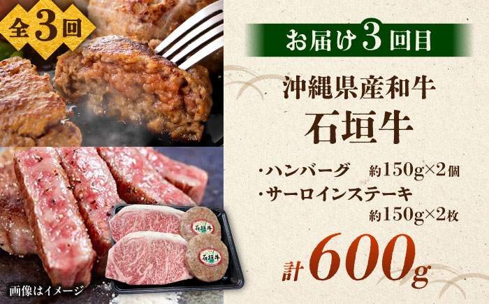 【全3回定期便】沖縄ブランド牛を堪能！贅沢お肉定期便【沖縄市】牛肉 和牛 サーロインステーキ 焼肉 赤身 沖縄市 / 肉のサブロー / お肉屋本店 [BCZZ027]