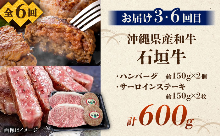 【全6回定期便】沖縄ブランド牛を堪能！贅沢お肉定期便【沖縄市】牛肉 和牛 サーロインステーキ 焼肉 赤身 沖縄市 / 肉のサブロー / お肉屋本店 [BCZZ028]