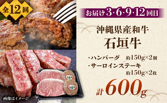 【全12回定期便】沖縄ブランド牛を堪能！贅沢お肉定期便【沖縄市】牛肉 和牛 サーロインステーキ 焼肉 赤身 沖縄市 / 肉のサブロー / お肉屋本店 [BCZZ029]