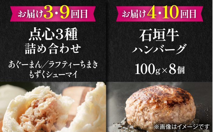 【全12回定期便】家族で満喫！沖縄のお肉贅沢セット【沖縄市】ハンバーグ あぐー 石垣牛 ステーキ 焼肉 冷凍 ギフト お取り寄せ 沖縄市 / お肉屋本店 / 豚々茶舗 / TESIO / 肉のサブロー [BCZZ035]
