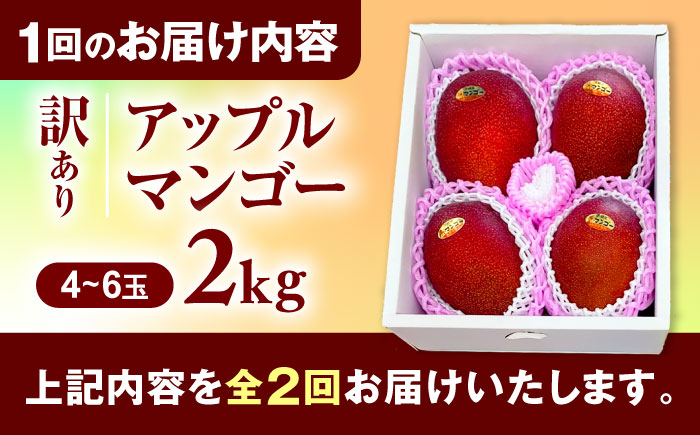 【全2回】太陽の恵み マンゴーご褒美便 (総計4kg) マンゴー 2026 沖縄 果物 フルーツ ギフト 沖縄市 / 仲村農園 [BCZZ053]