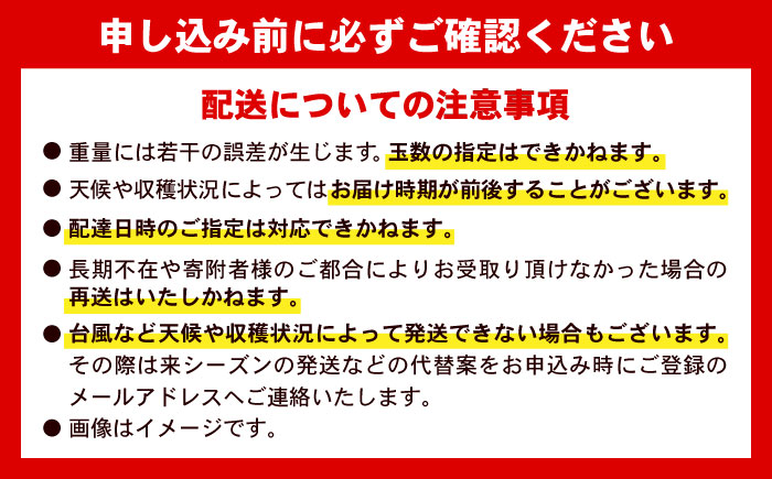 【先行予約 2026年発送 予約受付】 訳あり 完熟マンゴー 約4kg (約2kg×2箱) マンゴー 沖縄 果物 フルーツ ギフト 沖縄市 / ちゃんぷる～市場 [BCAA007]