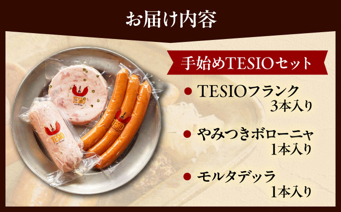TESIOの自家製ハム＆ソーセージ 『手始めTESIOセット』 豚肉 ハム ソーセージ 小分け 真空パック 沖縄市 / TESIO [BCAD001]