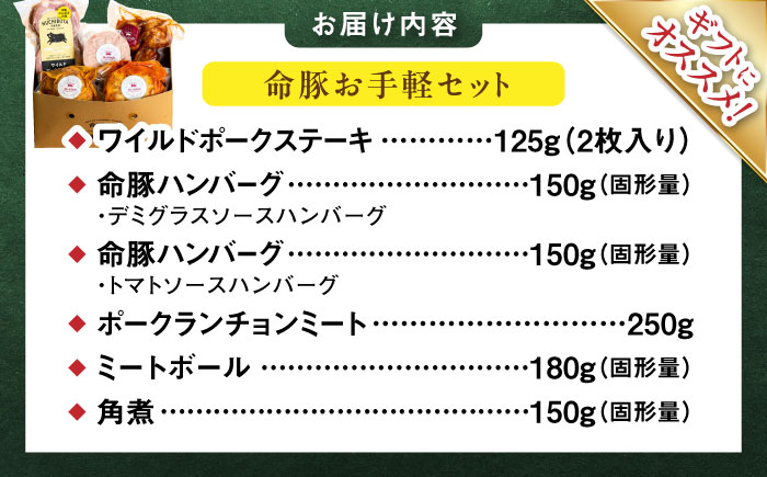 『お手軽セット』 豚肉 ポークステーキ ハンバーグ 詰め合わせ お取り寄せ 国産 ギフト 冷凍 沖縄市 / DELICATESSEN NUCHIBUTA [BCAR006]