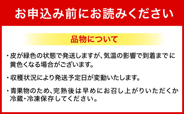 ムッチリ食感！沖縄県産アップルバナナ 1kg バナナ フルーツ 果物 無農薬 banana 沖縄市 10000円 / タカエス フルーツ＆ベジタブル [BCBH003]