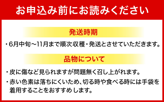 【2026年発送 先行受付】 【小玉】 完熟ドラゴンフルーツ 2kg (6玉) 果物 フルーツ スーパーフード 産地直送 沖縄市 / タカエスフルーツ＆ベジタブル [BCBH006]