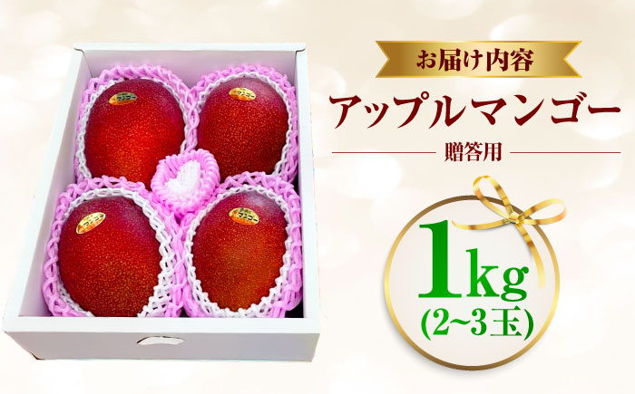 【先行予約 2026年発送 予約受付】【贈答用】仲村農園の完熟アップルマンゴー1kg マンゴー 沖縄 果物 フルーツ ギフト 沖縄市 / 仲村農園 [BCCU002]