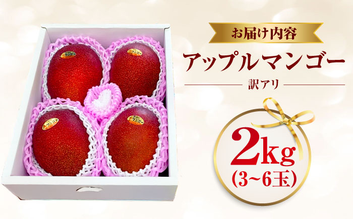 【先行予約 2026年発送 予約受付】【訳あり】仲村農園の完熟アップルマンゴー 2kg マンゴー 沖縄 果物 フルーツ ギフト 沖縄市 / 仲村農園 [BCCU003]