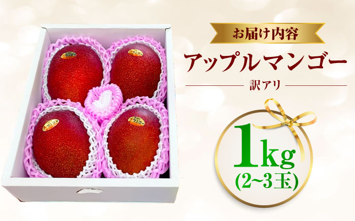 【先行予約 2026年発送 予約受付】【訳あり】仲村農園の完熟アップルマンゴー 1kg マンゴー 沖縄 果物 フルーツ ギフト 沖縄市 / 仲村農園 [BCCU004]
