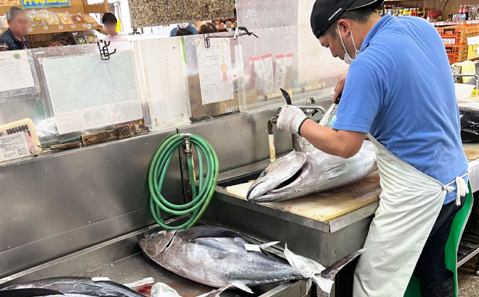 冷凍マグロギョーザ 24個(12個入り2パック) 餃子 冷凍 国産 マグロ 沖縄産 沖縄市 7000円 / 沖縄市漁業協同組合 パヤオ直売店 [BCDZ003]