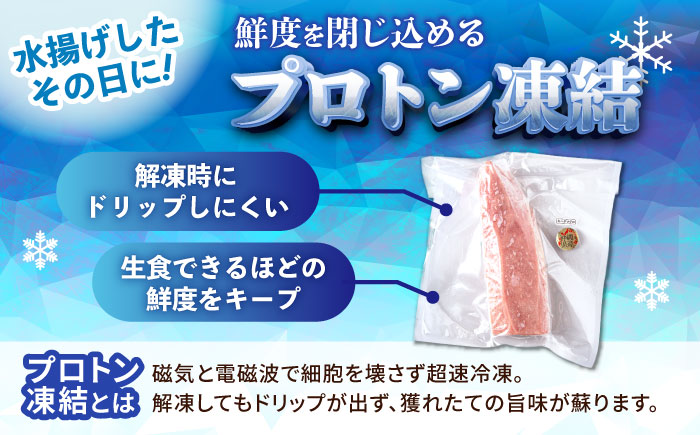 冷凍キハダマグロ 1.2kg (300g×4パック) マグロ まぐろ 小分け 冷凍 刺身 赤身 沖縄市 / 沖縄市漁業協同組合 パヤオ直売店 [BCDZ007]