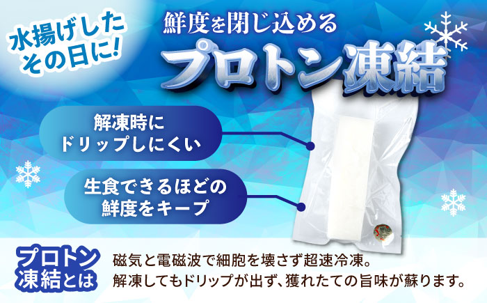 冷凍セーイカ (そでいか) 1.2kg (300g ×4パック) 沖縄市 / 沖縄市漁業協同組合 パヤオ直売店 [BCDZ009]