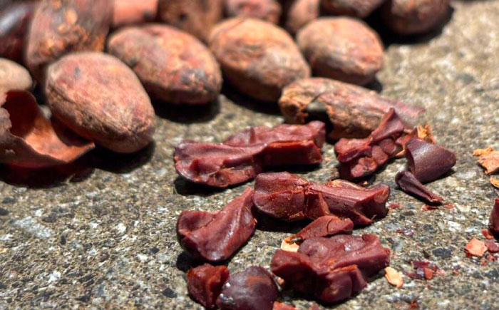 カカオハスククッキー 1袋 チョコ チョコレート クッキー カカオ ハスク 沖縄市 / Lives Chocolate [BCEI004]