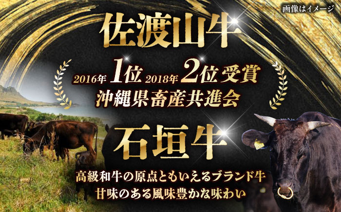 【全12回定期便】沖縄ブランド牛を堪能！贅沢お肉定期便【沖縄市】牛肉 和牛 サーロインステーキ 焼肉 赤身 沖縄市 / 肉のサブロー / お肉屋本店 [BCZZ029]